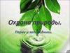Охрана природы. Парки и заповедники