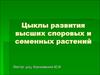 Циклы развития высших споровых и семенных растений