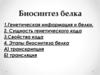 Биосинтез белка