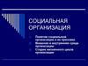 Социальная организация