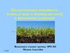 Поглотительная способность почвы, ее роль в питании растений и применении удобрений