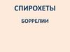 Спирохеты, боррелии. Возвратные тифы
