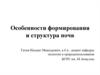 Особенности формирования и структура почв