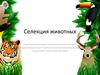 Селекция животных