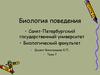 Индивидуальное поведение. Психосоматические типы