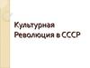 Культурная революция в СССР