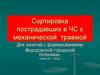 Сортировка пострадавших в ЧС с механической травмой