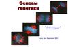 Основы генетики. Лекция 2