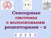 Сенсорные системы с волосковыми рецепторами