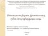 Взаимосвязь формы фронтальных зубов от конфигурации лица