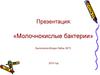 Молочнокислые бактерии
