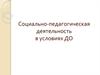 Социально-педагогическая деятельность в условиях ДО