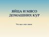 Яйца и мясо домашних кур