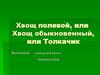 Хвощ полевой или Хвощ обыкновенный