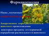 Фармакогнозия. Лекарственное сырье растительного и животного происхождения