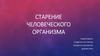 Старение человеческого организма