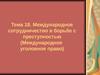 Тема 18. Международное сотрудничество в борьбе с преступностью (Международное уголовное право)