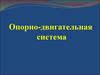 Опорно-двигательная система