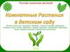 Комнатные растения