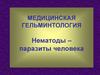 Медицинская гельминтология. Нематоды – паразиты человека