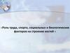 Роль труда, спорта, социальных и биологических факторов на строение костей