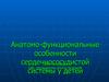Особенности сердечнососудистой системы у детей