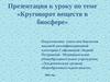 Круговорот веществ в биосфере