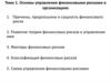 Основы управления финансовыми рисками в организациях