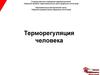 Терморегуляция человека. Перегревание