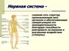 Нервная система