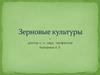 Зерновые  яровые культуры