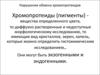 Нарушения обмена хромопротеидов