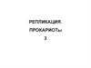 Репликация фагов. Прокариоты