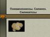 Пневмокониозы. Силикоз. Силикатозы