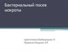 Бактериальный посев мокроты