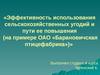 Эффективность использования сельскохозяйственных угодий и пути ее повышения (на примере ОАО «Барановичская птицефабрика»)