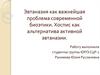 Эвтаназия, как важнейшая проблема современной биоэтики. Хоспис, как альтернатива активной эвтаназии
