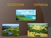 Лесостепи Украины