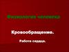 Кровообращение. Работа сердца