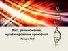 Рост, размножение, культивирование прокариот