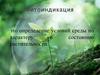 Фитоиндикация. Определение условий среды по характеру и состоянию растительности