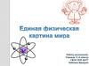 Единая физическая картина мира