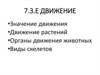 Движение. Значение движения. Движение растений. Органы движения животных. Виды скелетов