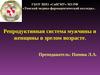 Репродуктивная система мужчины и женщины в зрелом возрасте