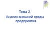 Анализ внешней среды предприятия (тема 2)