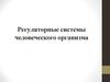 Регуляторные системы человеческого организма