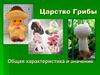 Царство Грибы.  Общая характеристика и значение