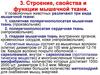Физиология мышечного сокращения. Строение, свойства и функции мышечной ткани