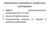 Управление затратами и прибылью корпорации