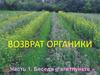 Возврат органики в почву. Грядка Розума